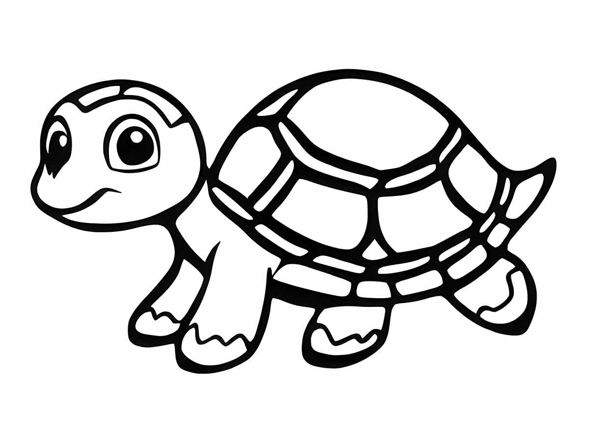 Turtle coloring page (24)