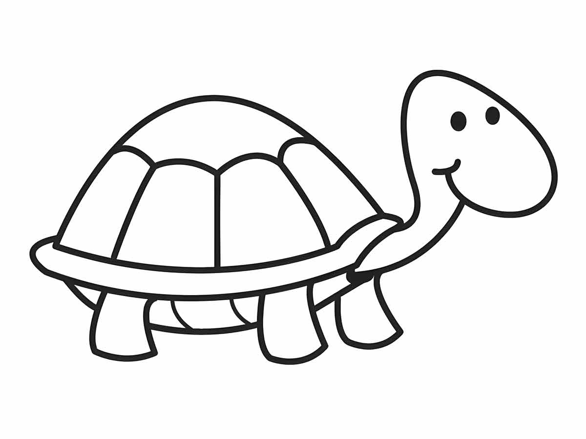 Turtle coloring page (26)