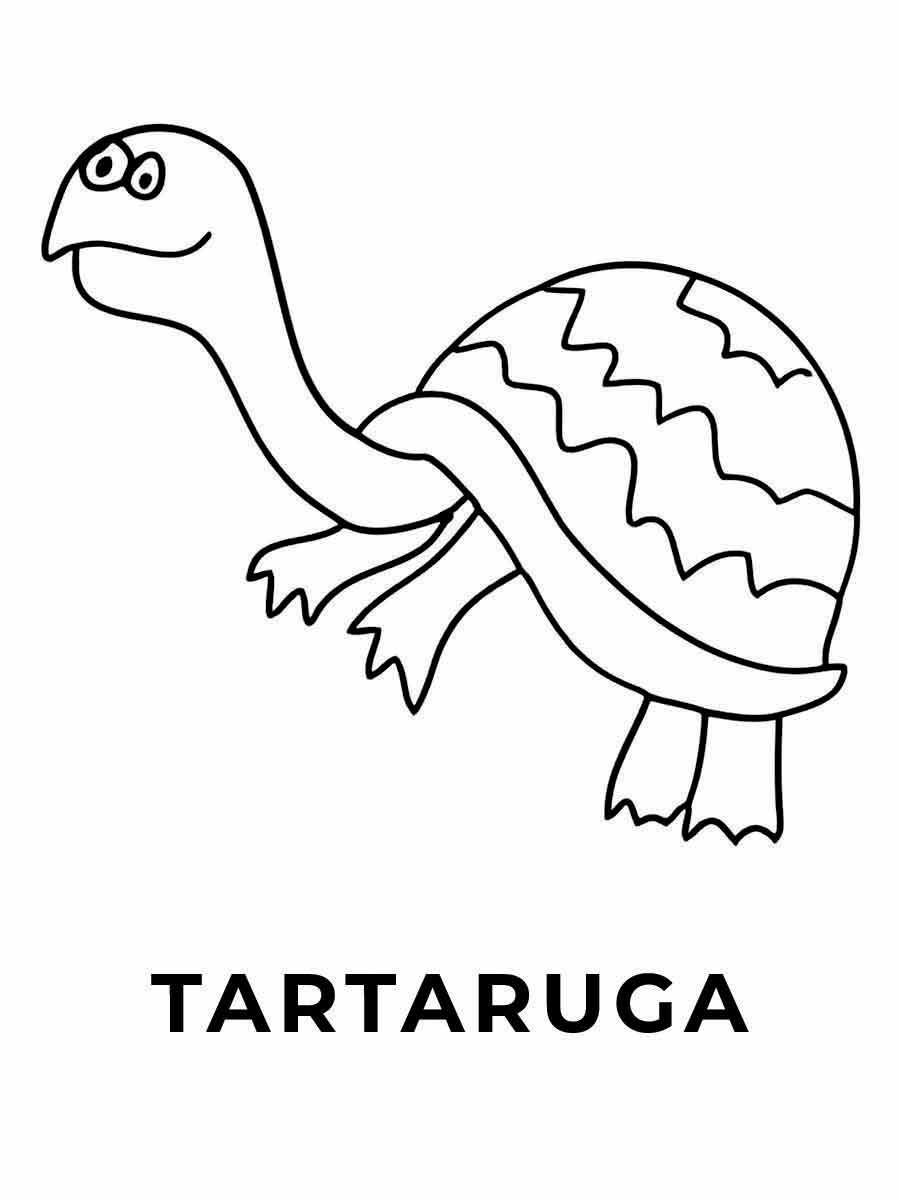 Turtle coloring page (27)