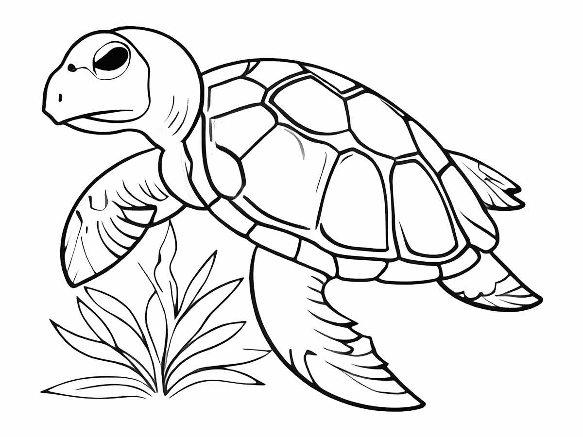 Turtle coloring page (28)