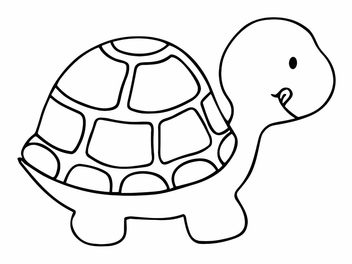 Turtle coloring page (3)