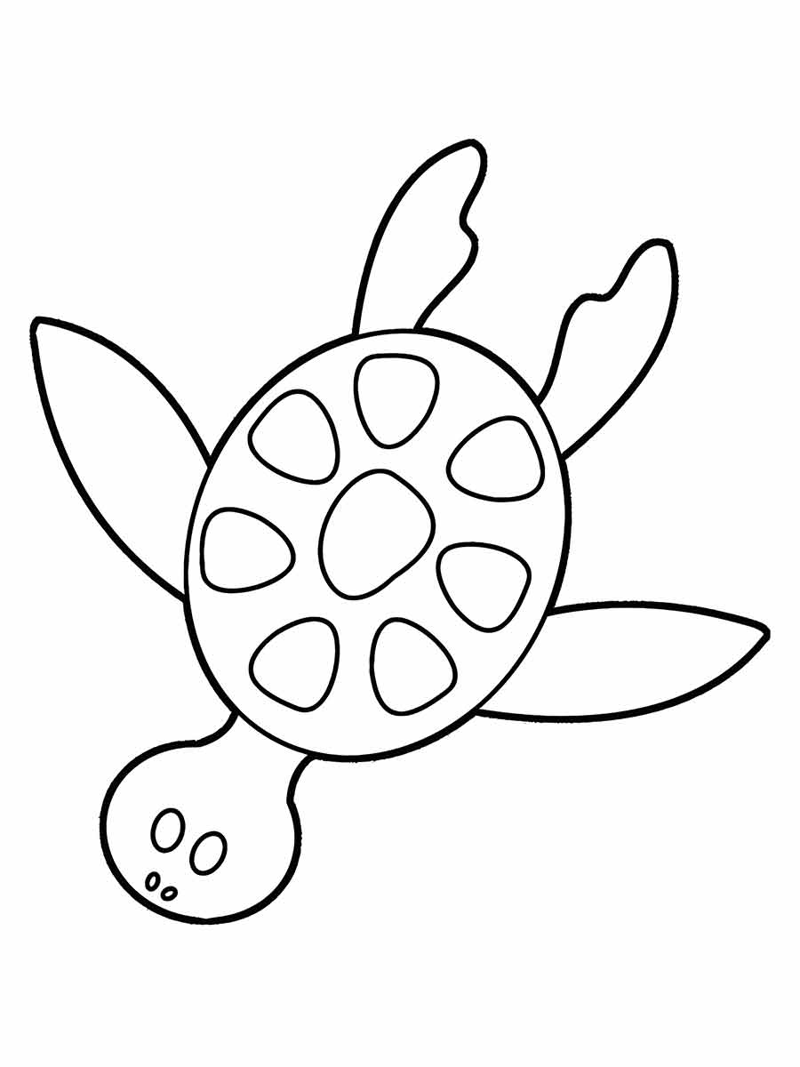 Turtle coloring page (30)