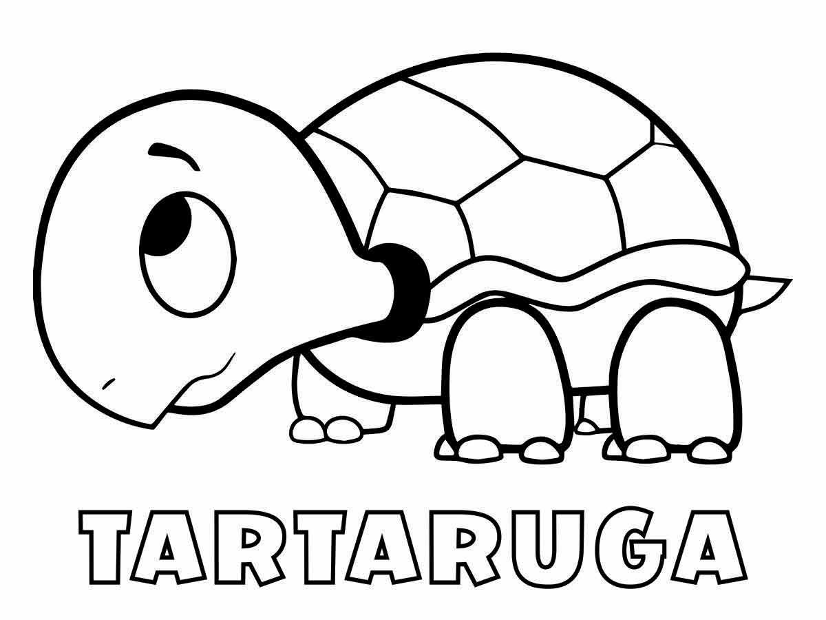 Turtle coloring page (32)