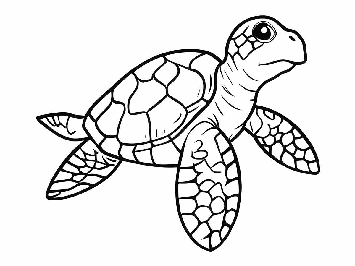 Turtle coloring page (36)