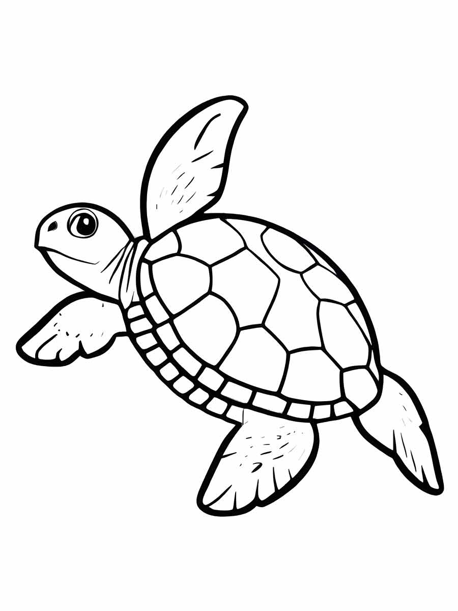 Turtle coloring page (39)