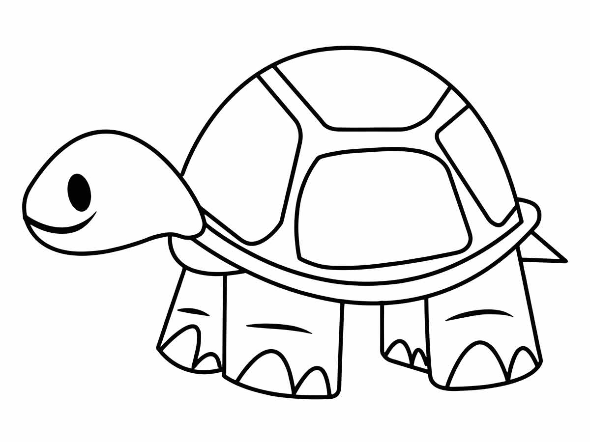 Turtle coloring page (4)