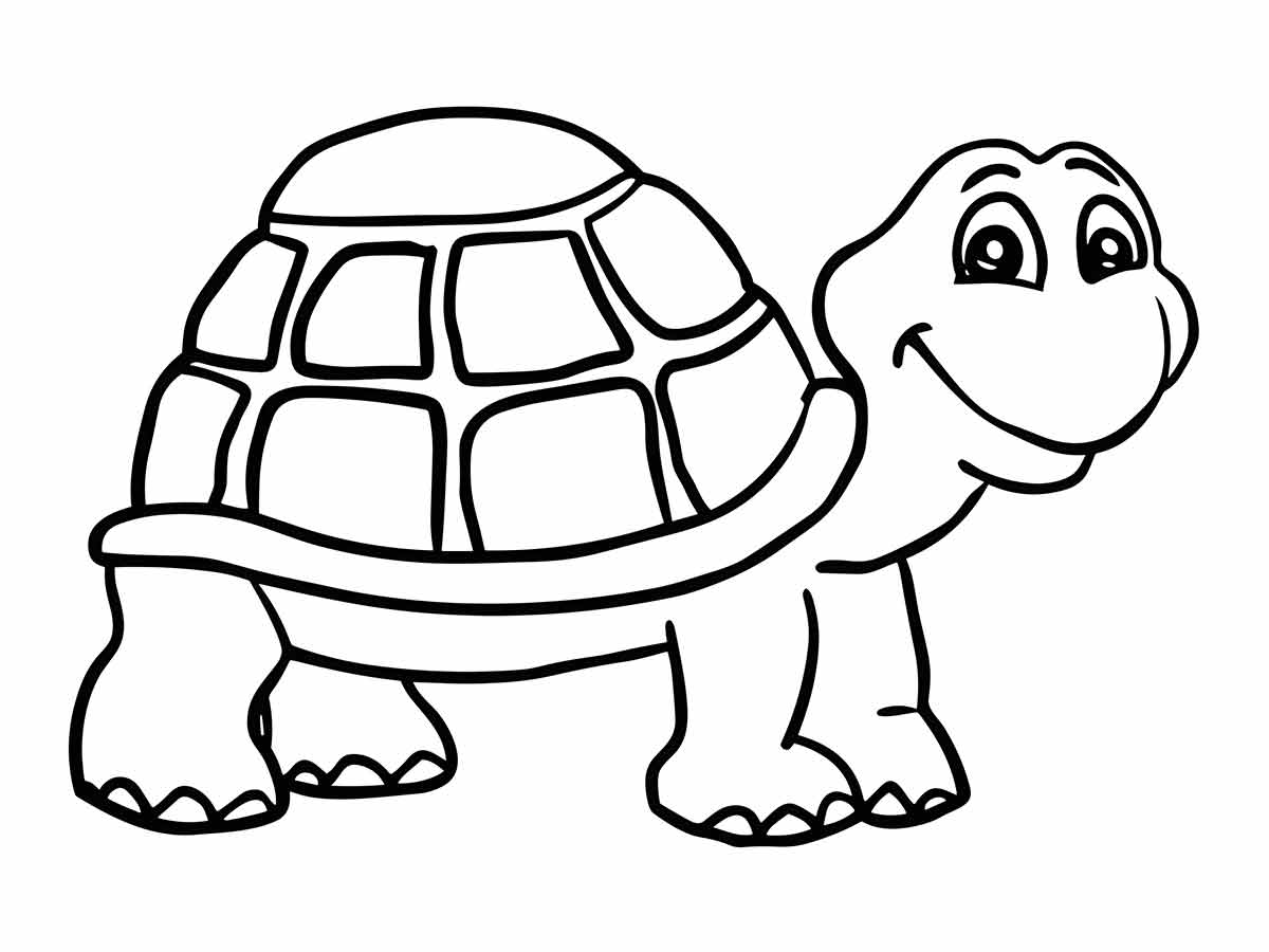 Turtle coloring page (5)