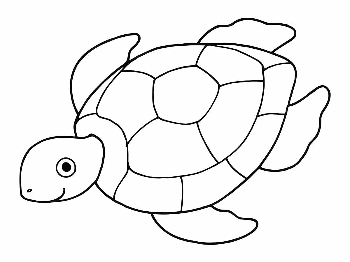 Turtle coloring page (6)