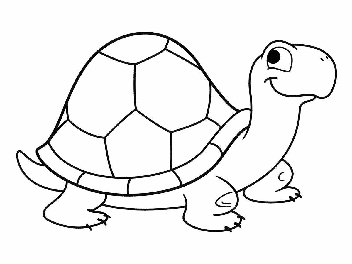 Turtle coloring page (8)