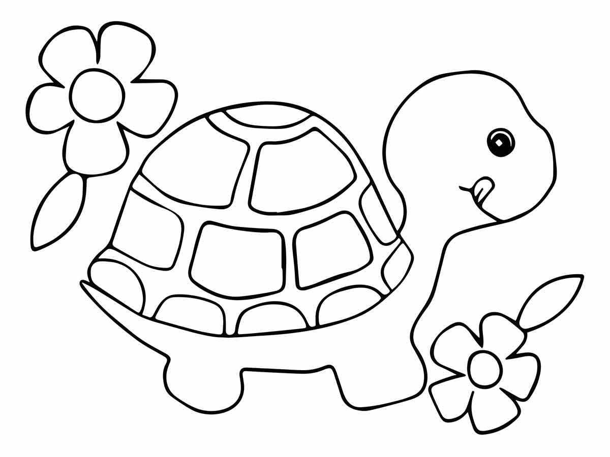 Turtle coloring page (9)