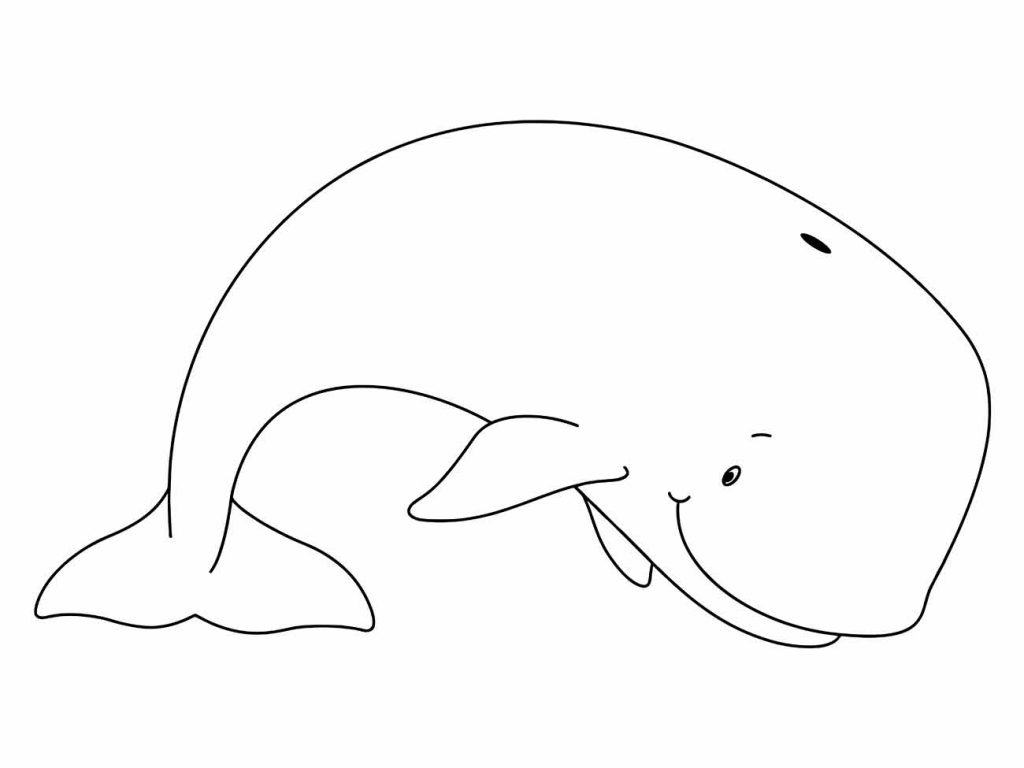 Whales coloring page (1)