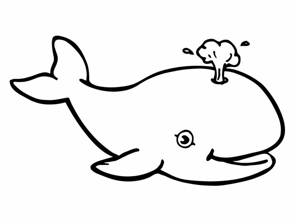 Whales coloring page (15)