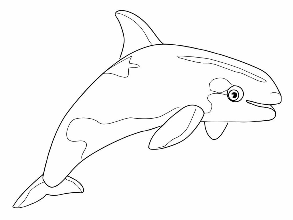 Whales coloring page (2)