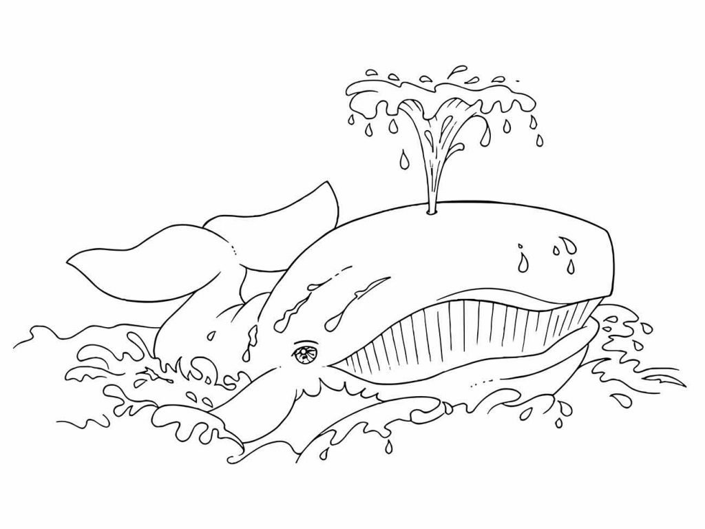 Whales coloring page (21)