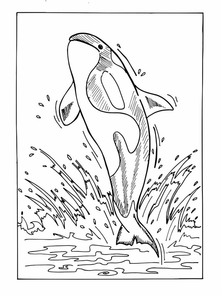 Whales coloring page (28)