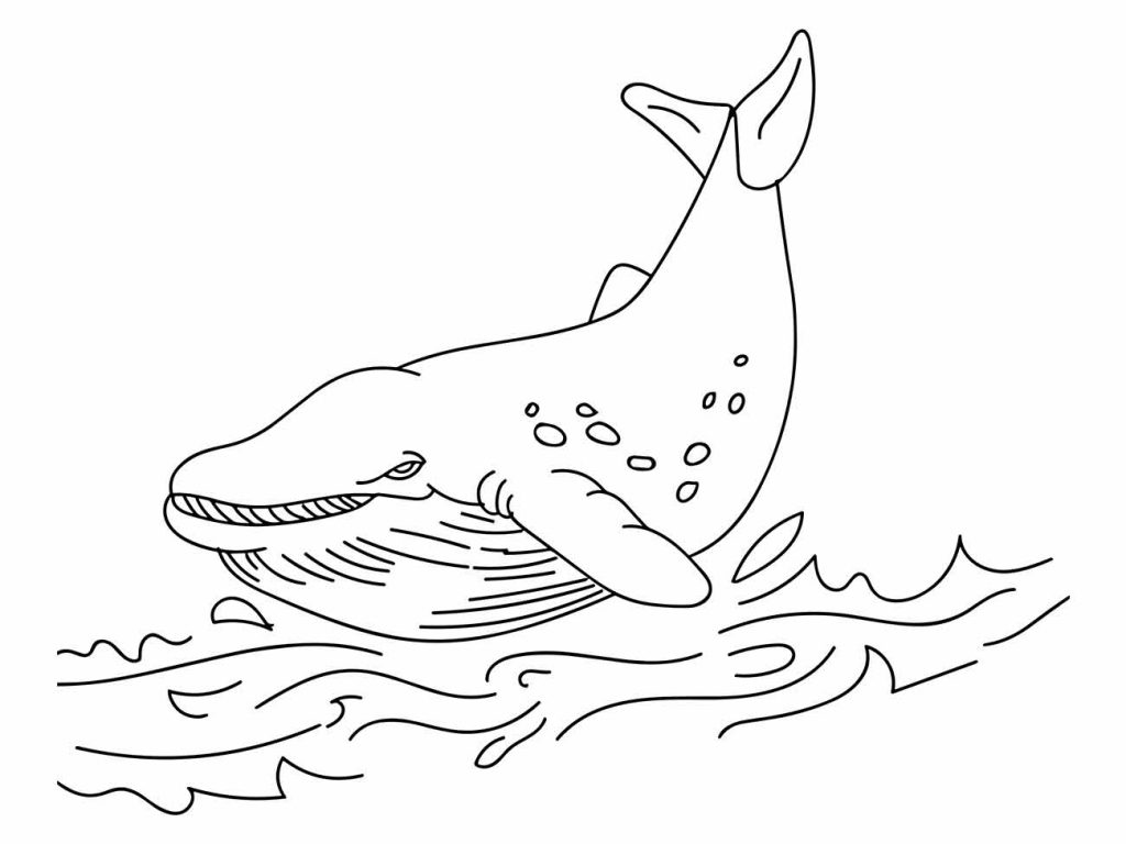 Whales coloring page (31)