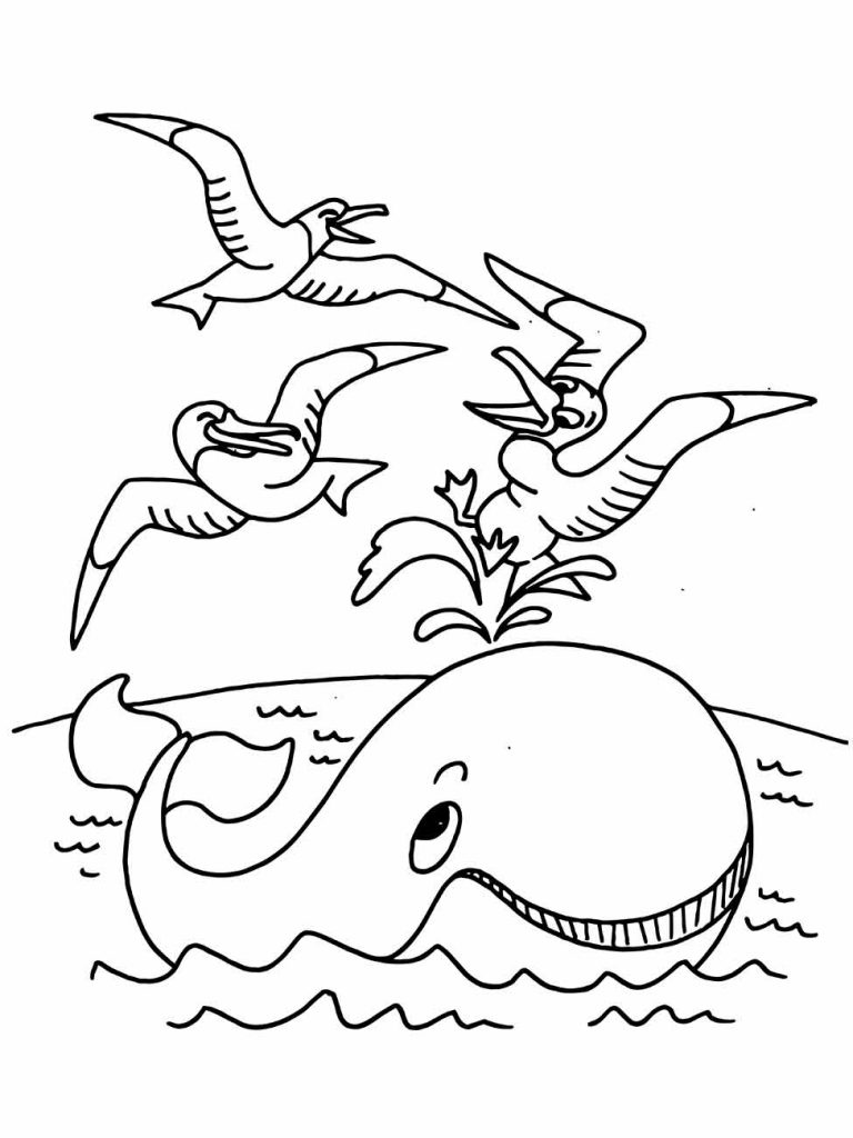 Whales coloring page (35)