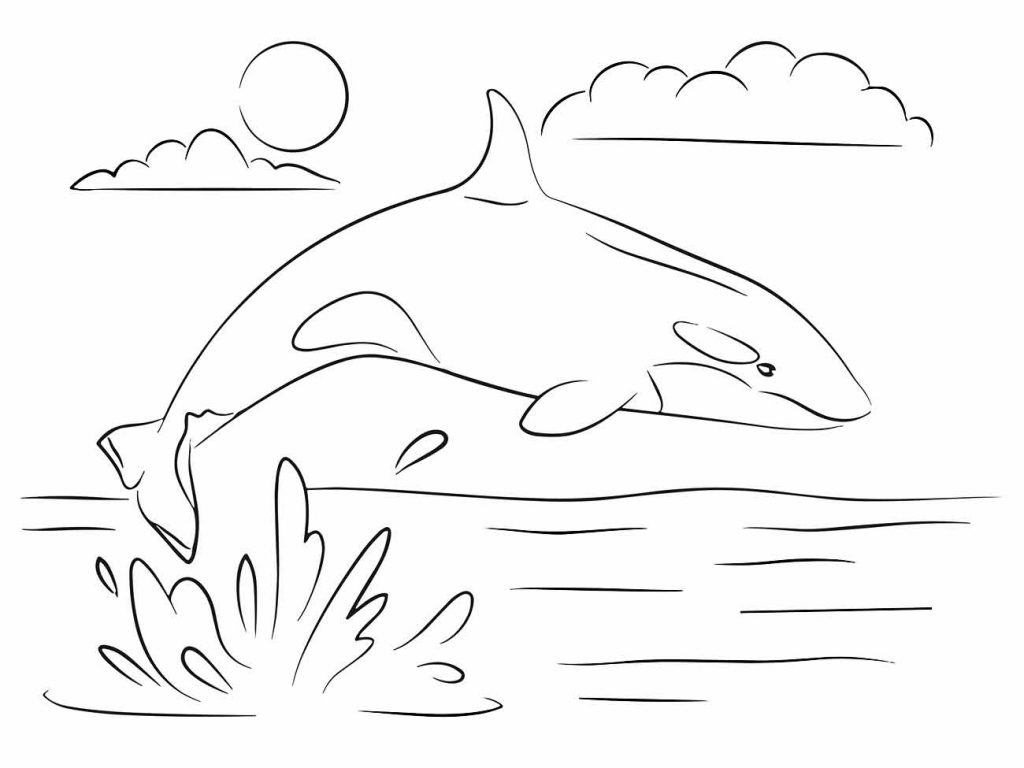 Whales coloring page (36)