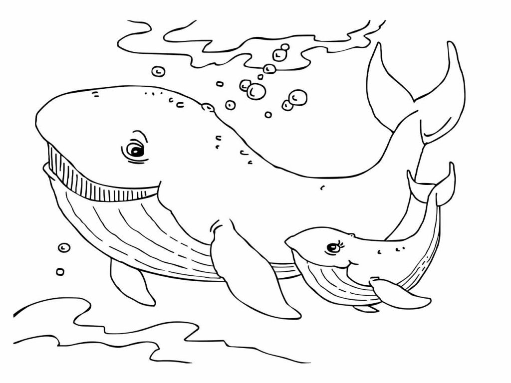 Whales coloring page (37)