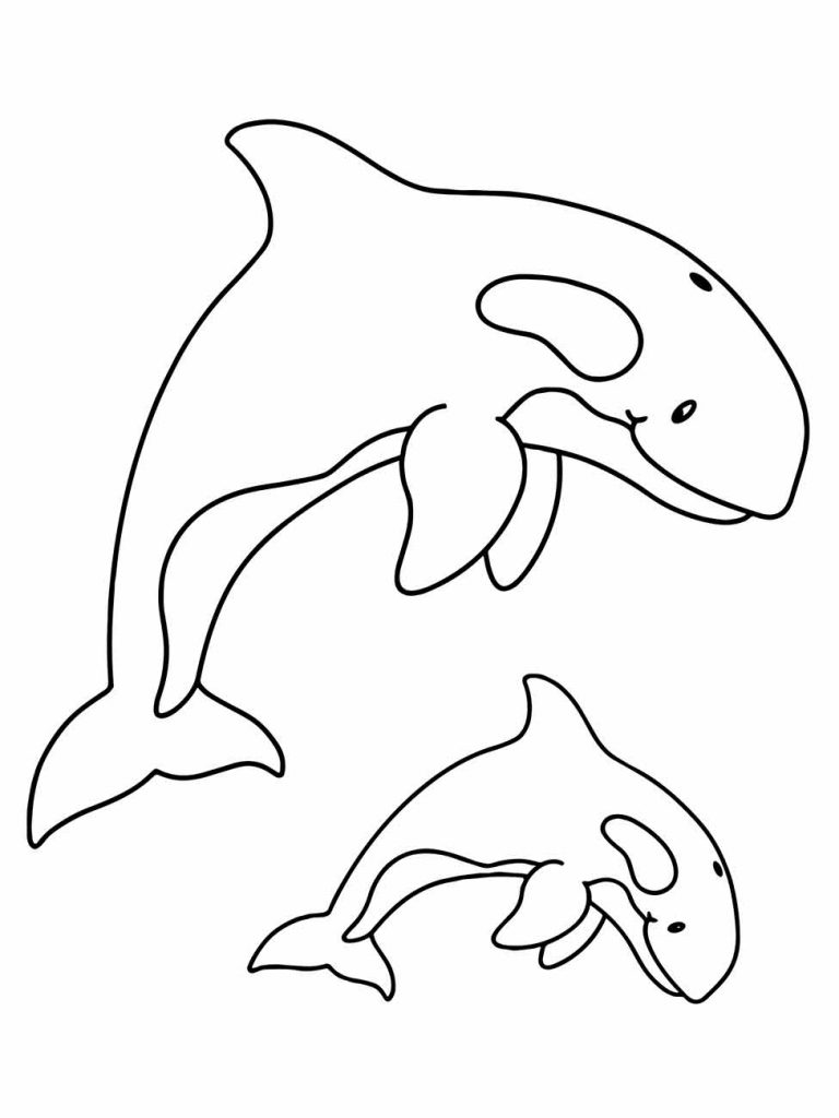 Whales coloring page (38)