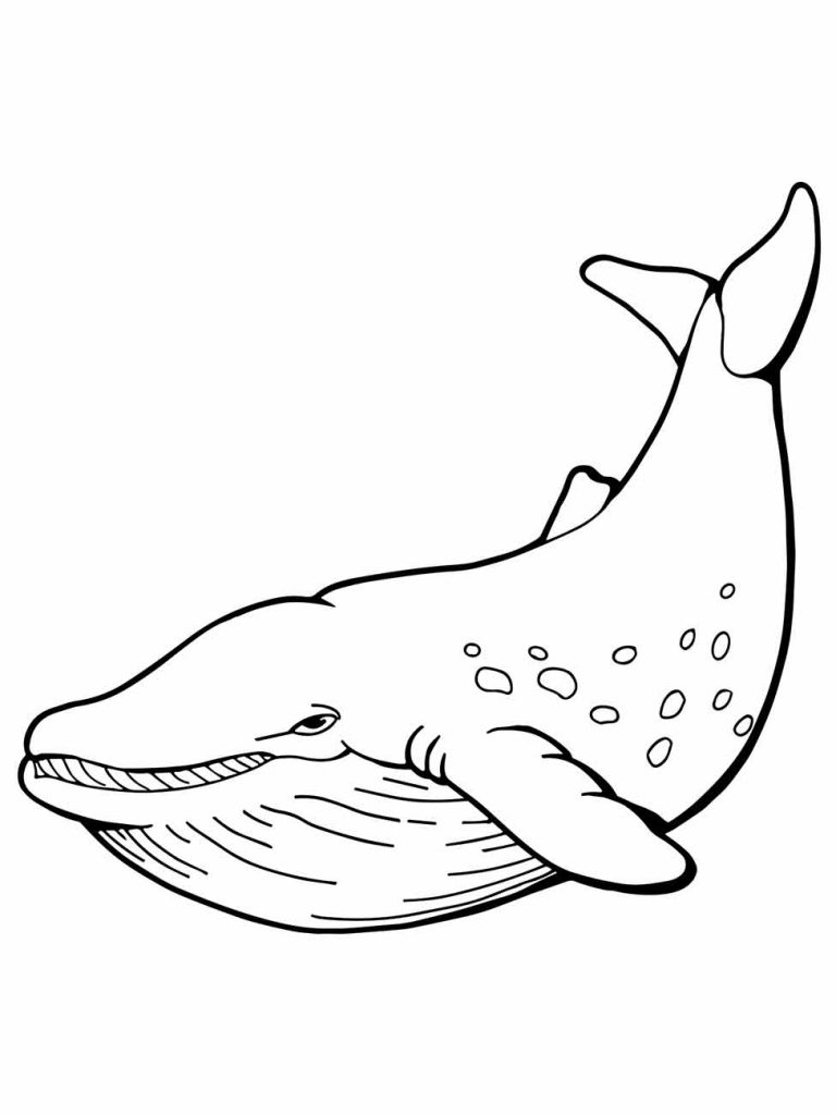 Whales coloring page (5)