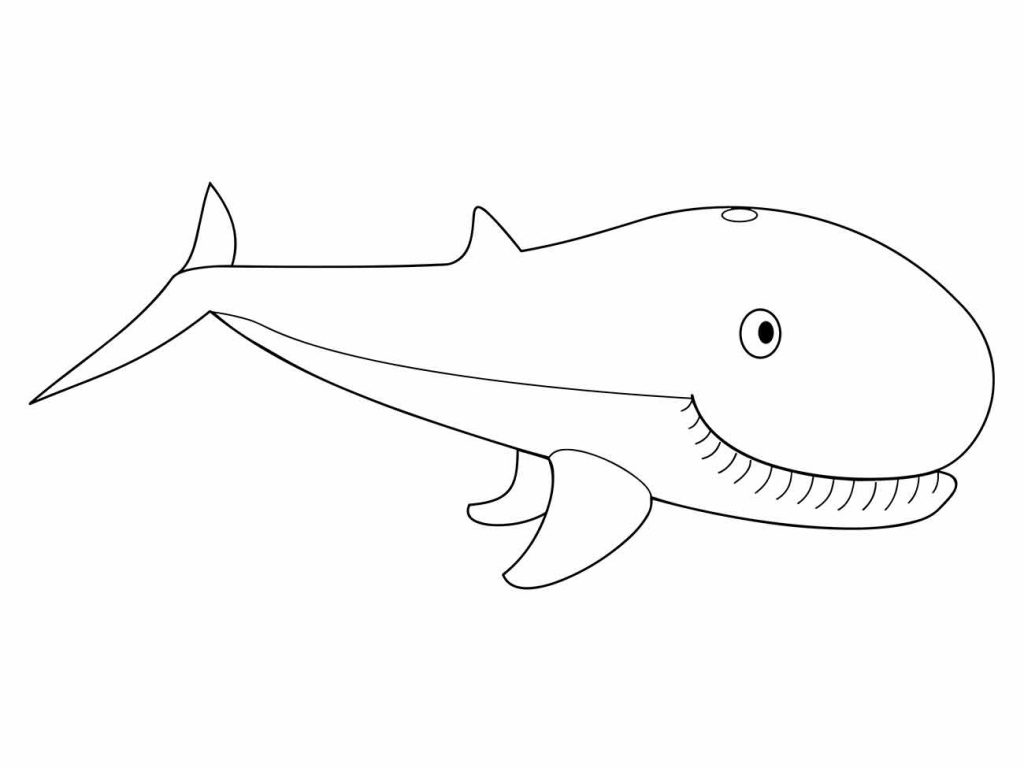 Whales coloring page (6)