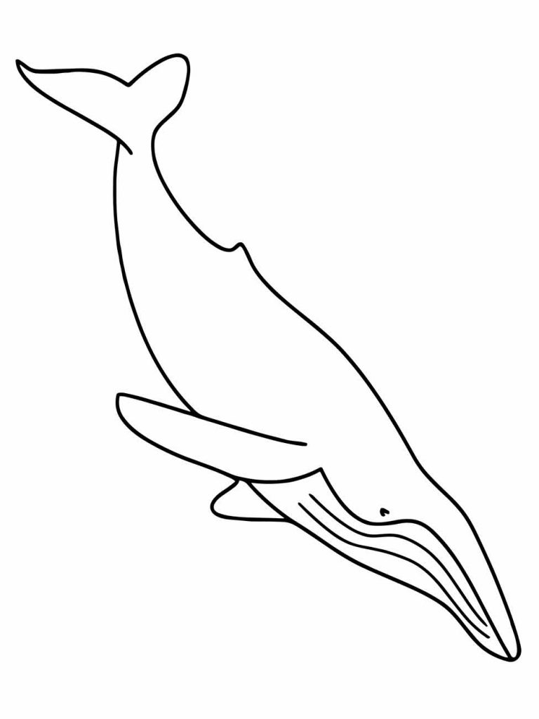 Whales coloring page (8)