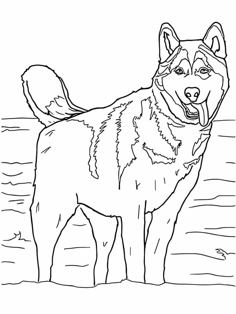 Wolf coloring page (1)