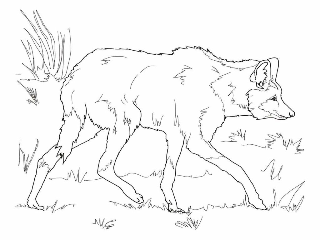 Wolf coloring page (12)