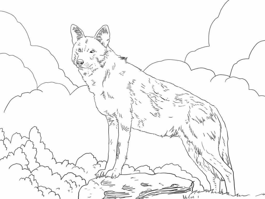 Wolf coloring page (13)