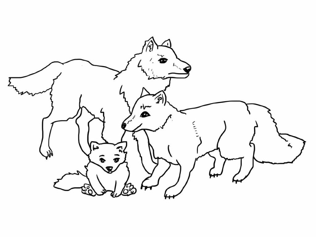 Wolf coloring page (24)