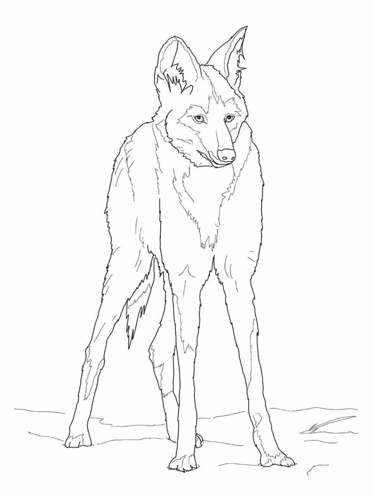 Wolf coloring page (28)