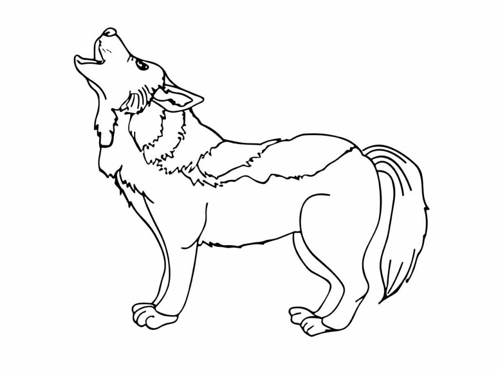 Wolf coloring page (29)