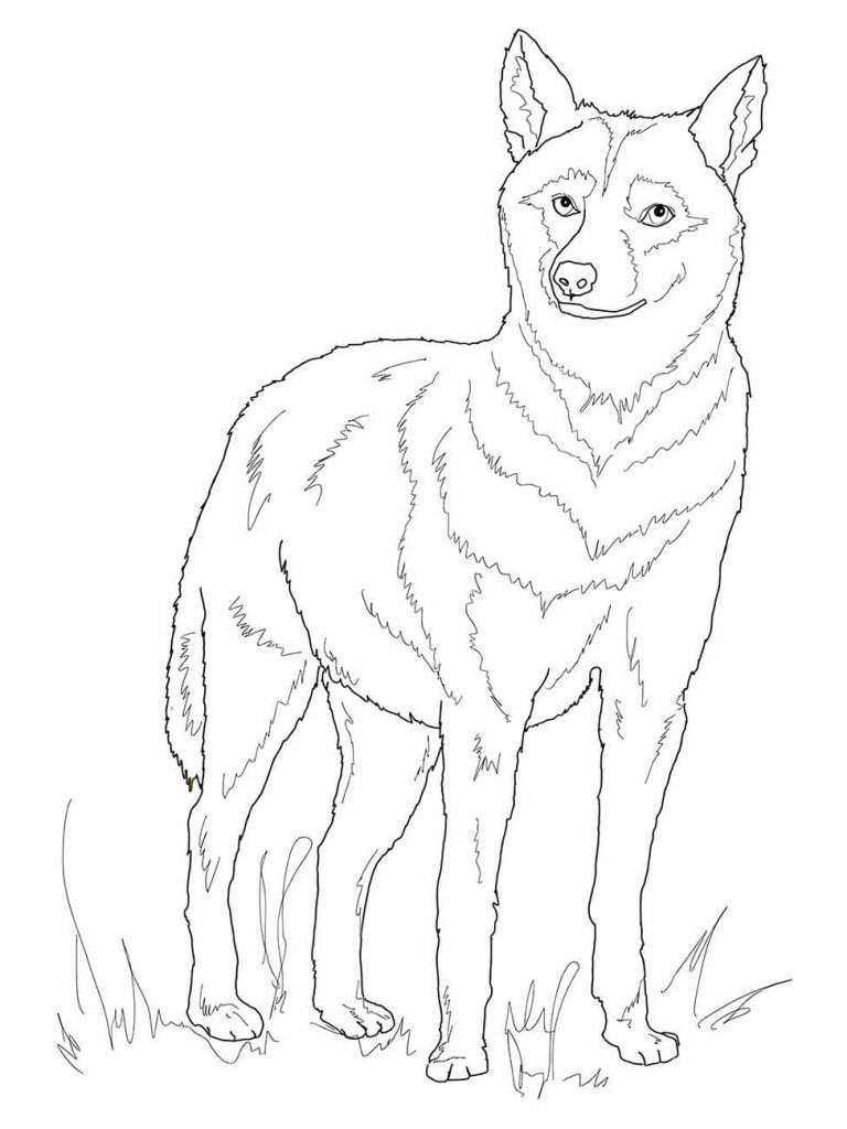 Wolf coloring page (34)