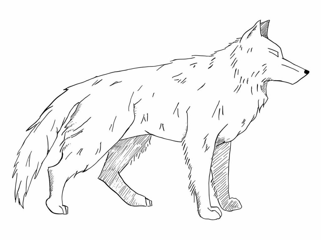 Wolf coloring page (37)