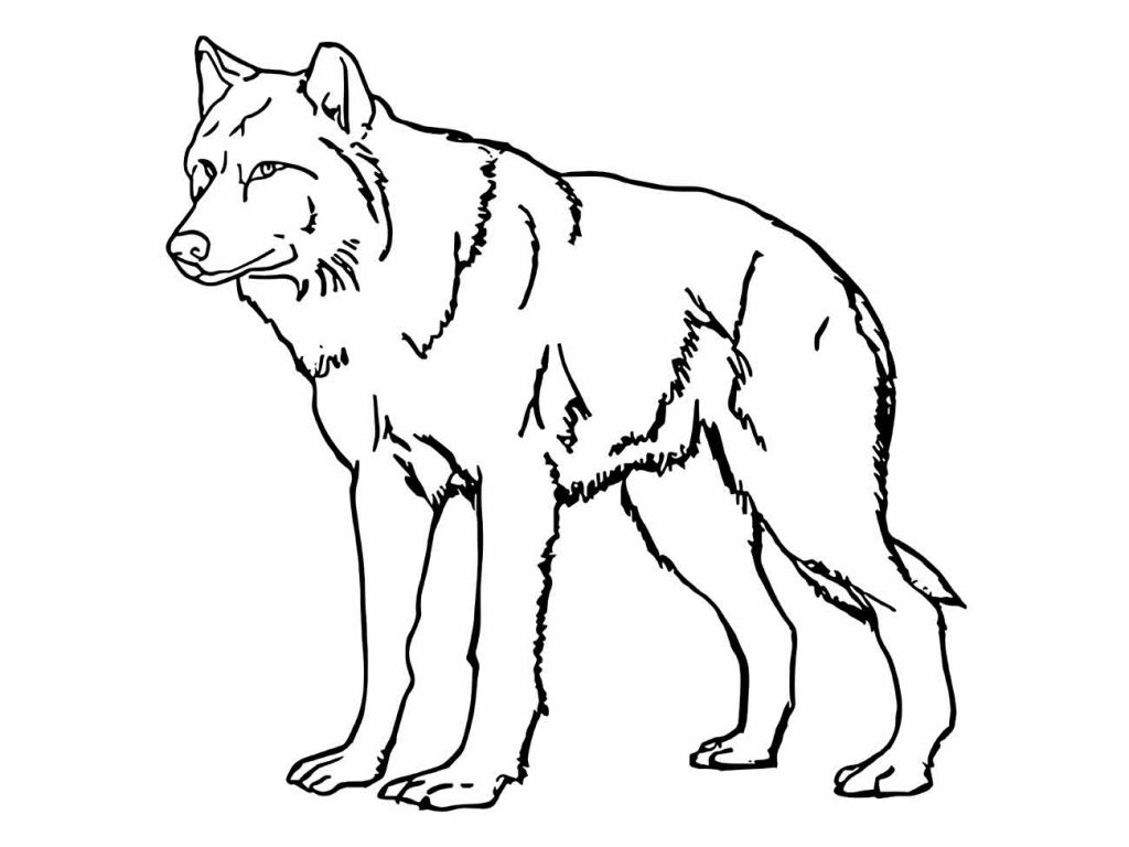 Wolf coloring page (39)