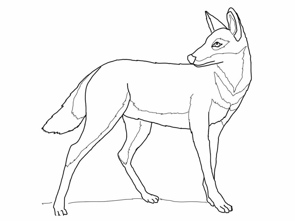 Wolf coloring page (40)