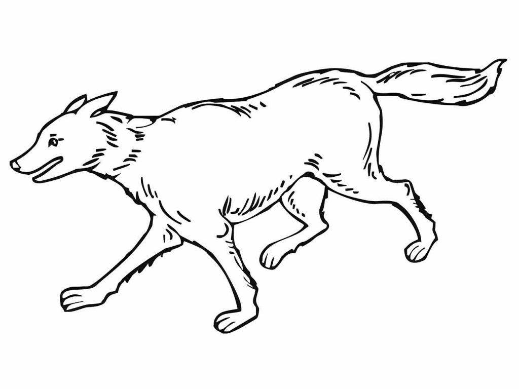 Wolf coloring page (41)