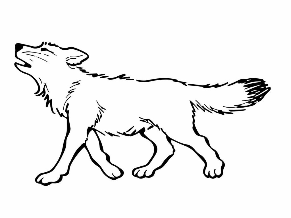 Wolf coloring page (42)