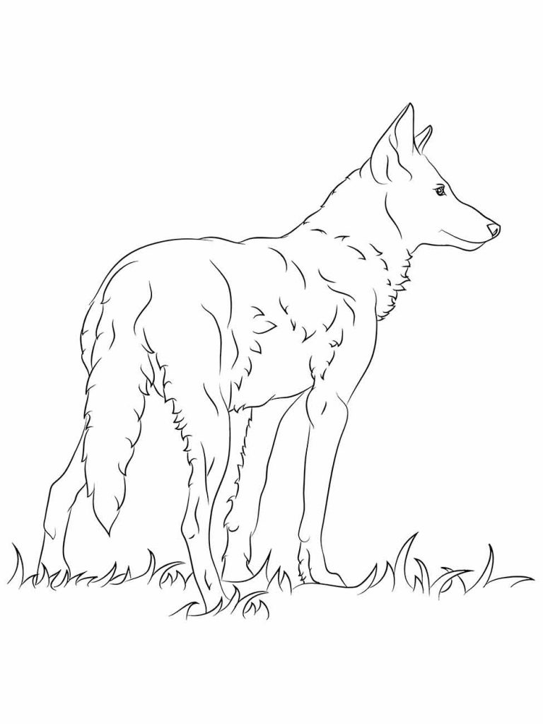 Wolf coloring page (44)