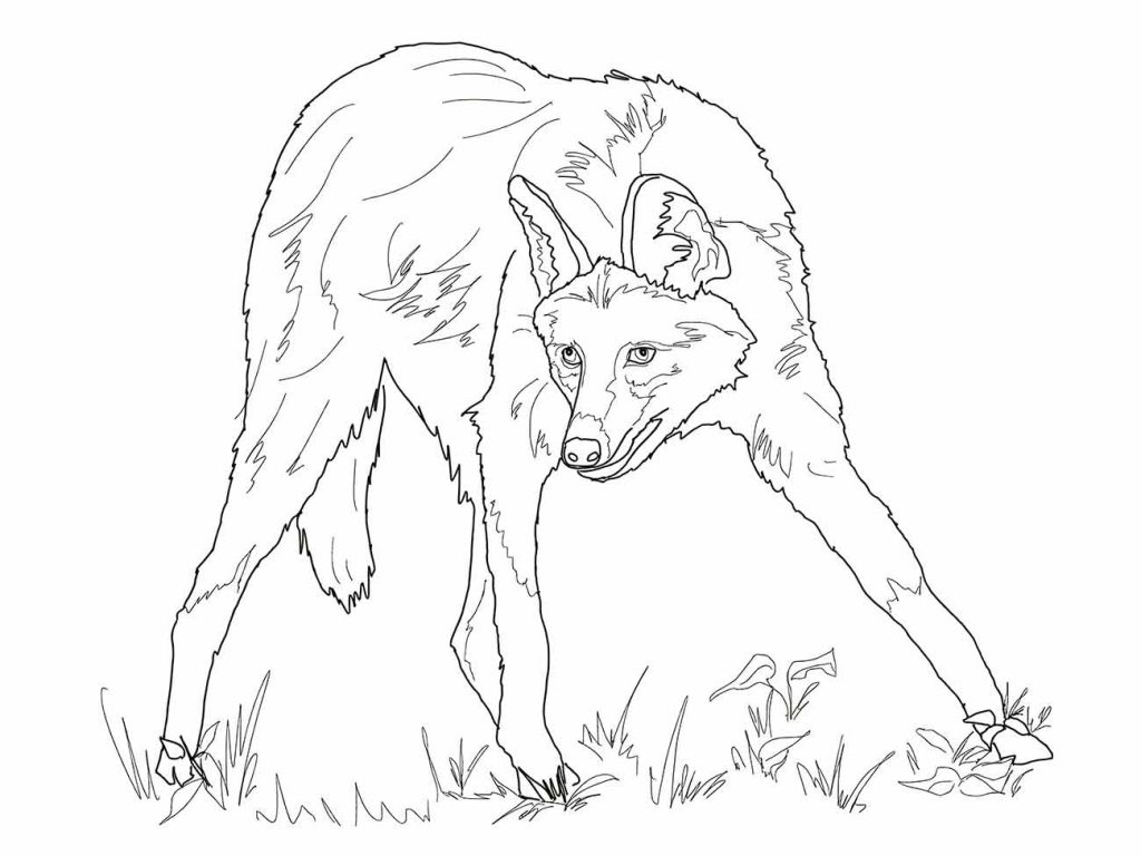 Wolf coloring page (45)