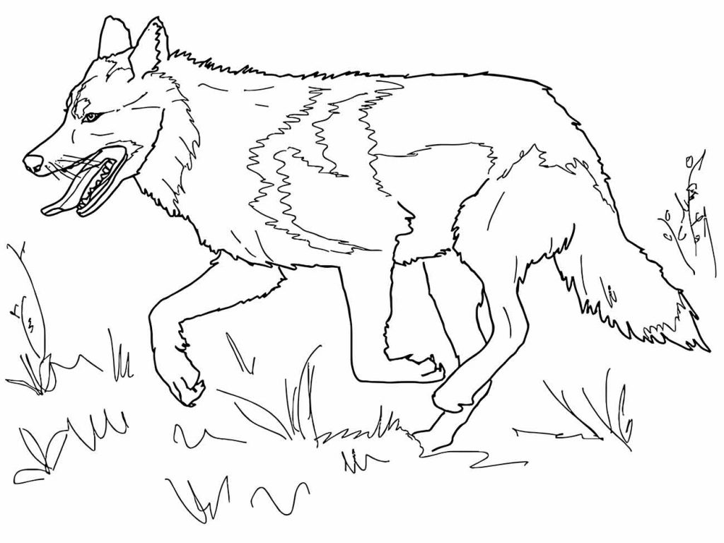 Wolf coloring page (46)