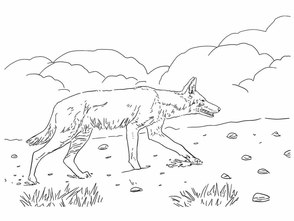 Wolf coloring page (8)