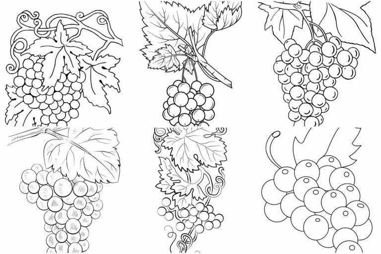 coloringpages Grape coloring pages