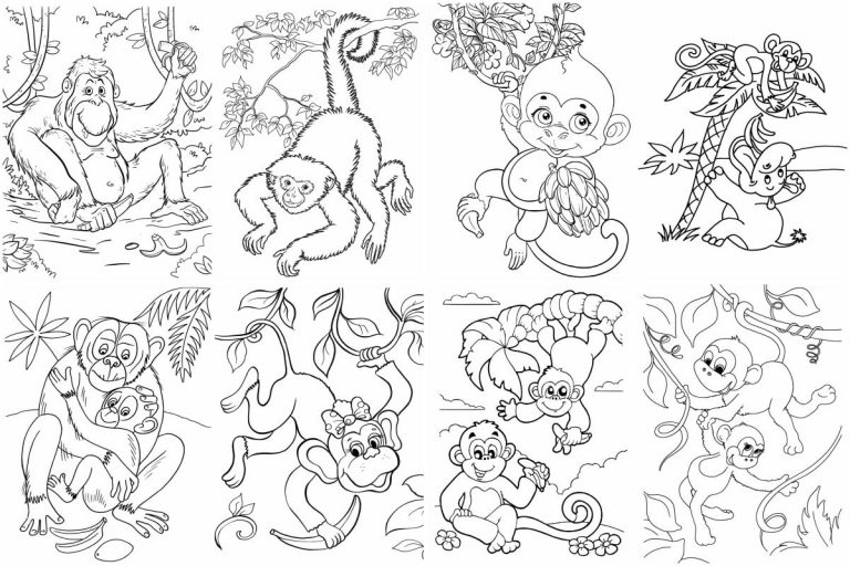 coloringpages Monkeys coloring pages