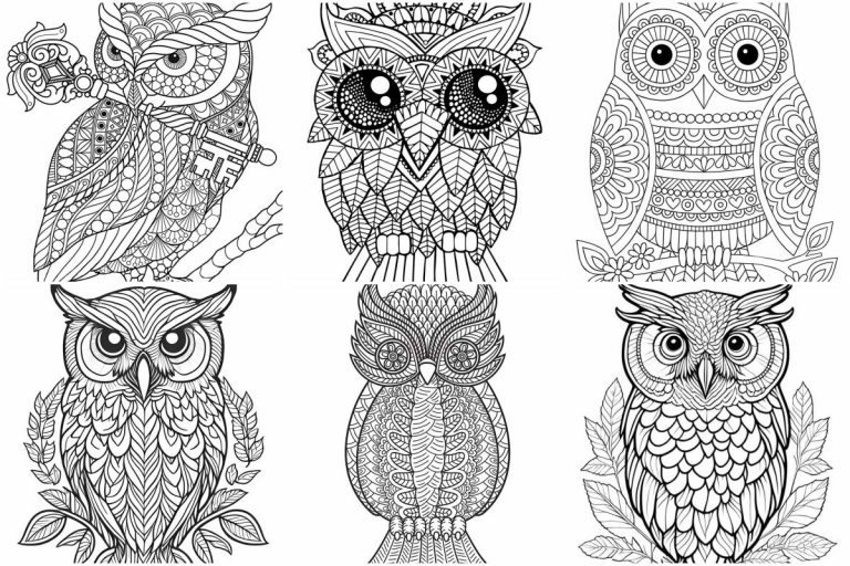 coloringpages Owls coloring pages