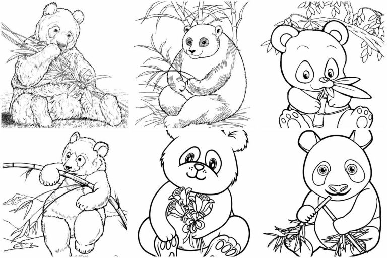 coloringpages Pandas coloring pages