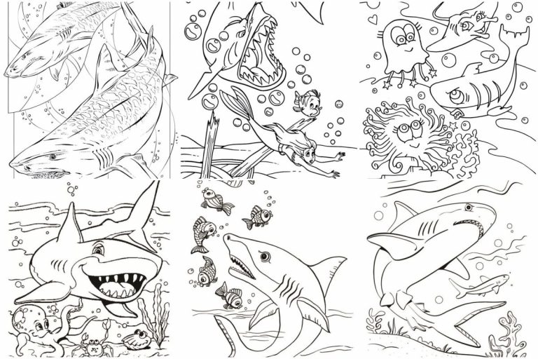 coloringpages Shark coloring pages