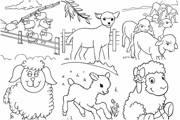 coloringpages Sheep coloring pages