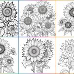 coloringpages Sunflower Coloring Pages